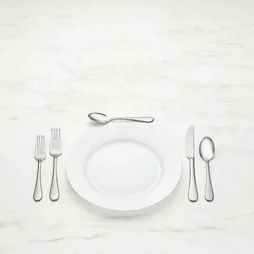 Food Network Astor 65-Pc. Flatware Set